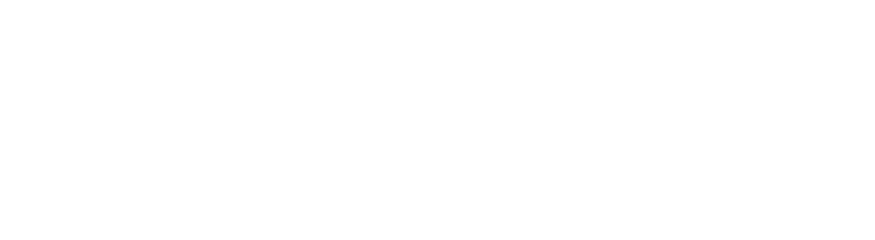 Корпоративный дух
